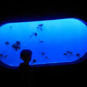 Meet your Posher, Geoff